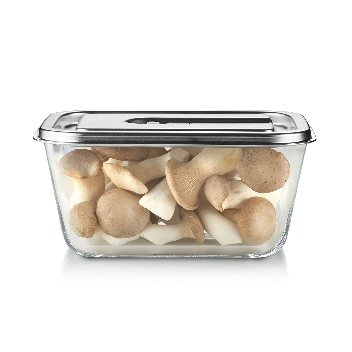 Récipient en verre avec champignons, couvercle en métal, rectangulaire, aliments, cuisine, frais