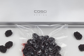 CASO GourmetVAC 480 Machine à vide à barres
