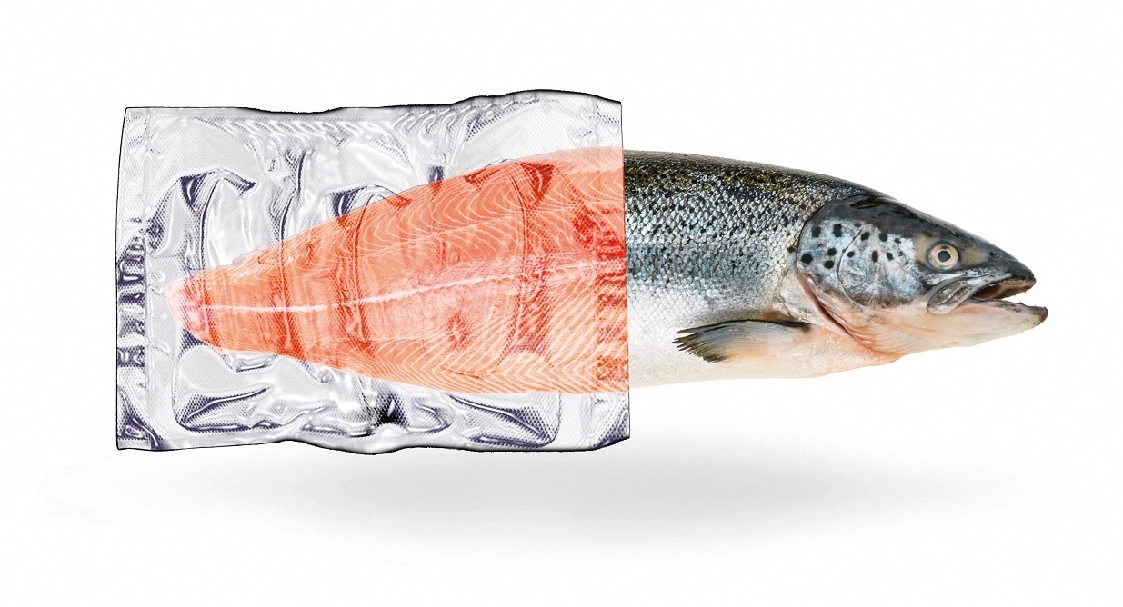 Ein halbes Lachsfilet in Vakuumverpackung und ein ganzer Lachs.