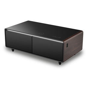 CASO Sound & Cool Wood Lounge table with refrigerator compartments, soundbar & charging options