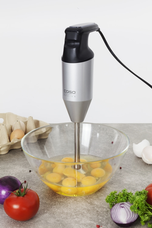 CASO HB 2200 Pro Design Stabmixer inkl. Zubehör