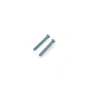 Two screws on white background, close-up, metal, fasteners, hardware, isolated