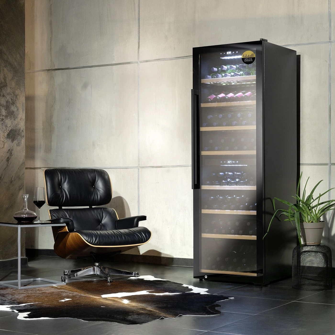 Wein Kühlschrank, Stuhl, Glas, Teppich, Pflanze, modernes Interieur, elegant