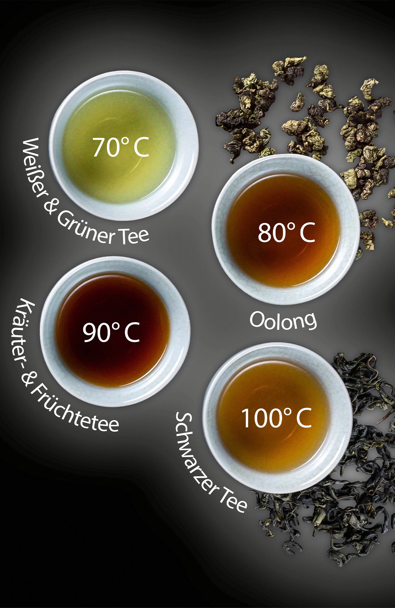 Tee-Sorten mit Temperaturangaben: Weißer, Grüner, Kräuter, Früchte, Oolong, Schwarzer Tee.