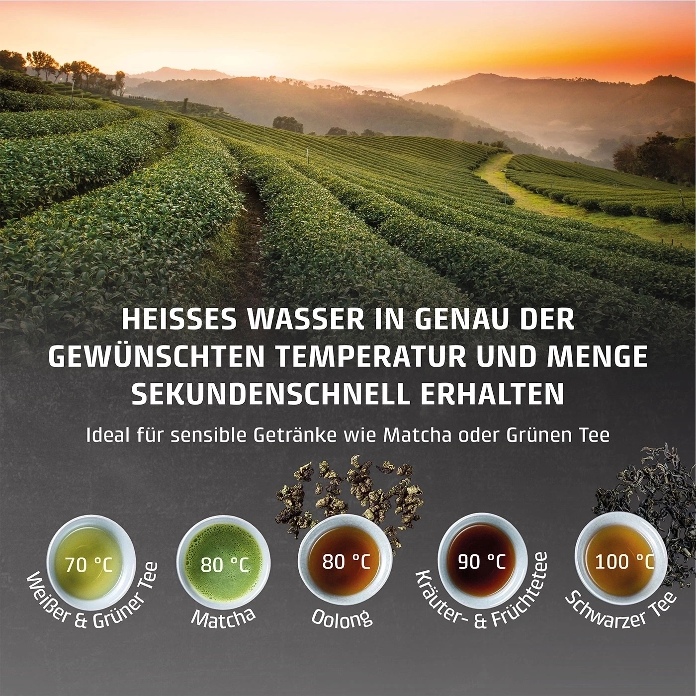 HW 616 Turbo hot water dispenser