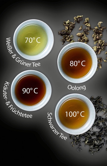Tee-Sorten mit Temperaturangaben: Weißer, Grüner, Kräuter, Früchte, Oolong, Schwarzer Tee.
